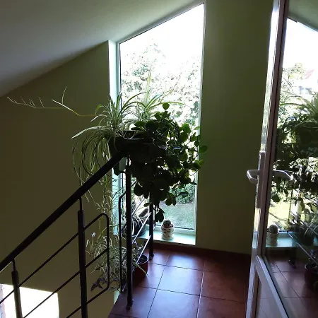 Apartamentai Geguciu Gatveje Apartment